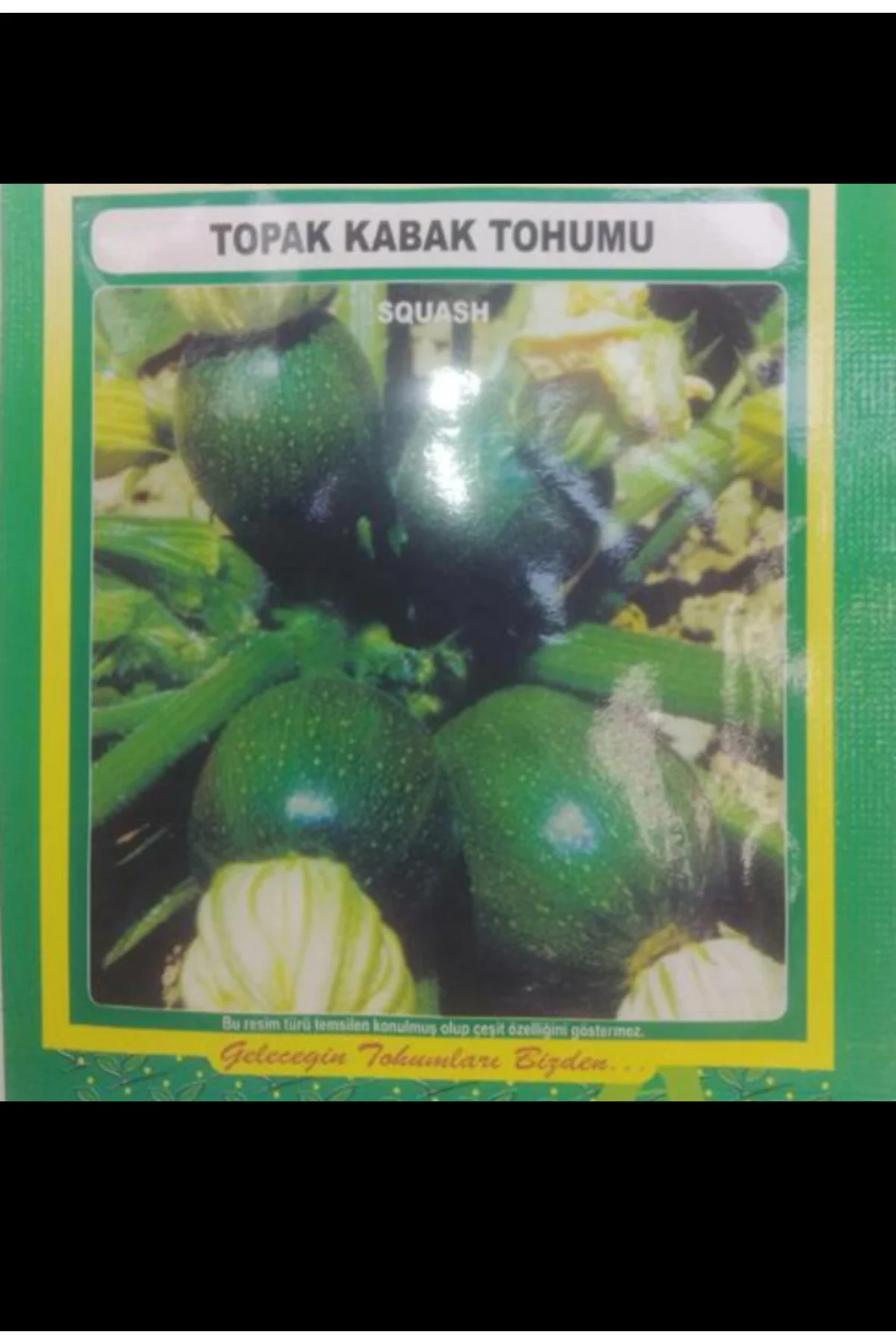 Kademgiller Topak Kabak Tohumu 5 gr