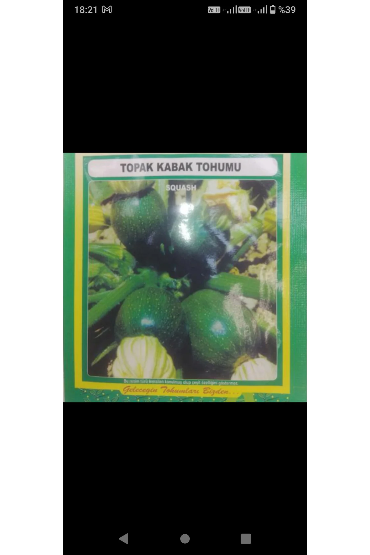 Kademgiller Topak Kabak Tohumu 5 gr