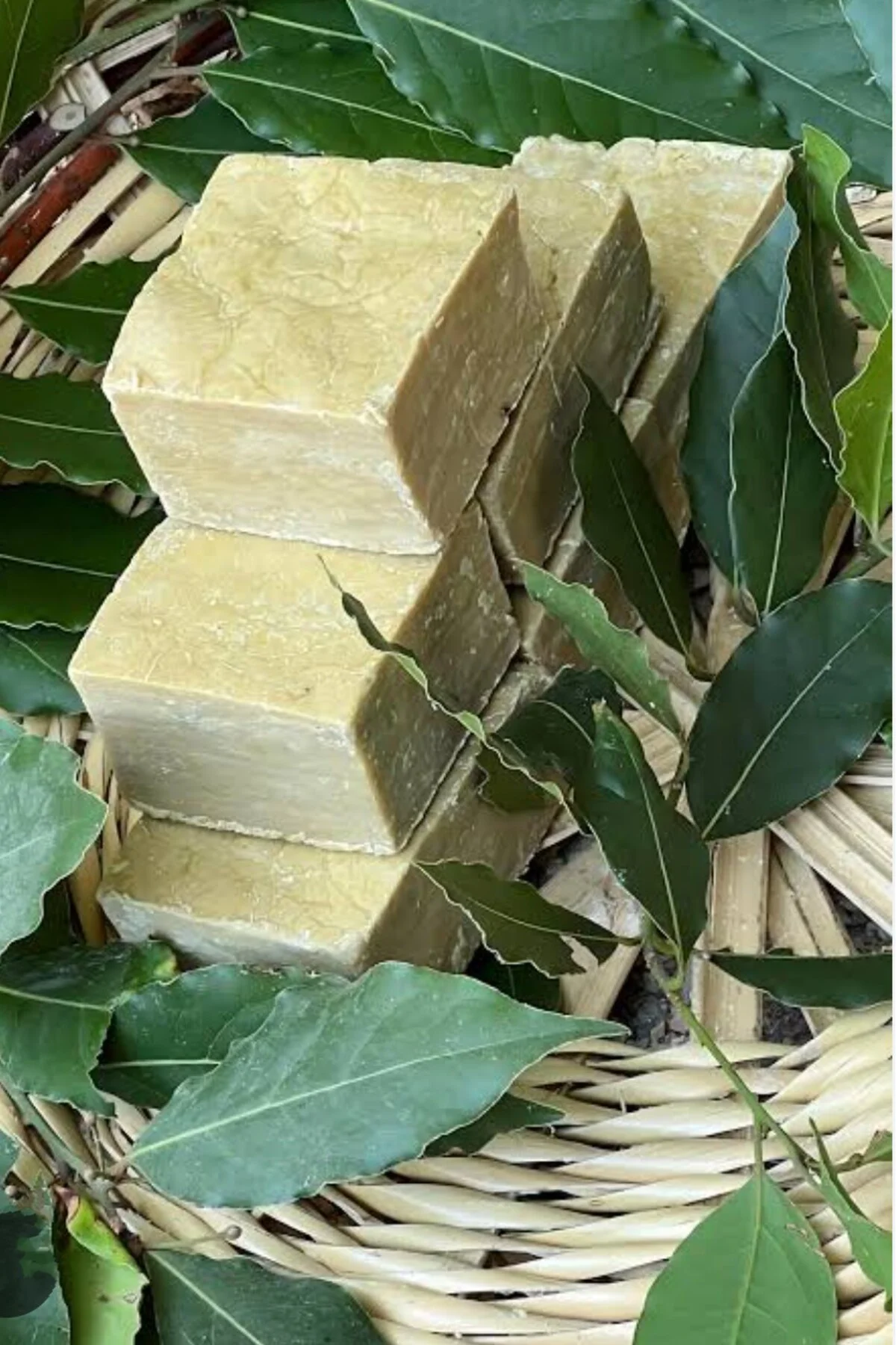 Kademgiller Zeytinyağlı Defne Sabunu 1 Kg