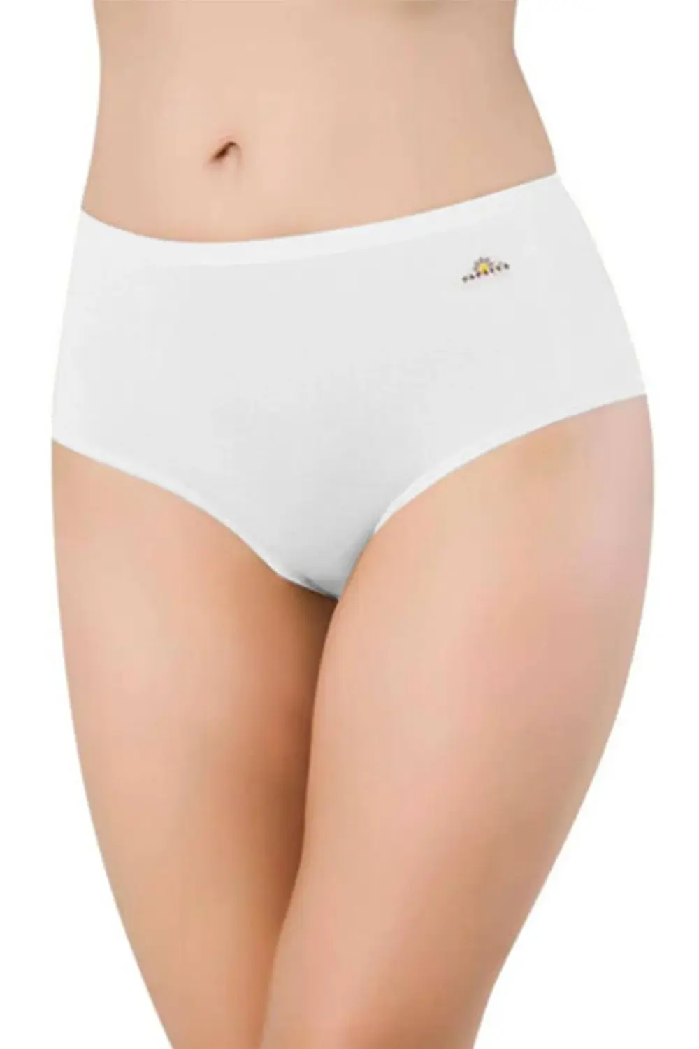 Kadın 6 Lı Paket Beyaz Modal Yüksek Bel Slip Külot 6gg1851