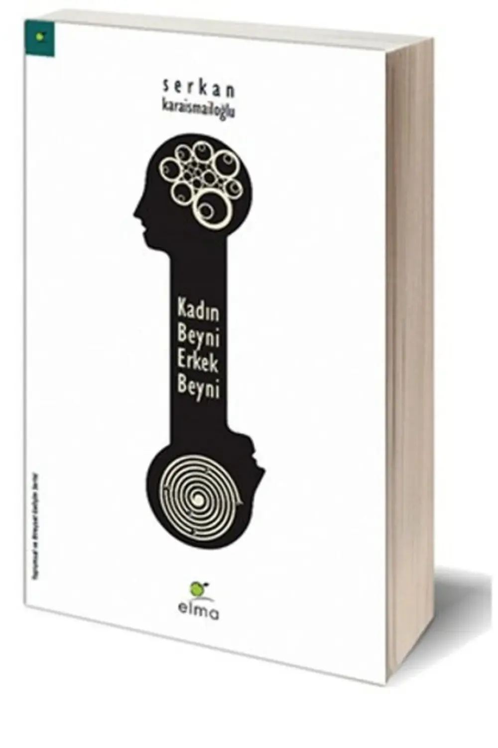 Kadın Beyni - Erkek Beyni