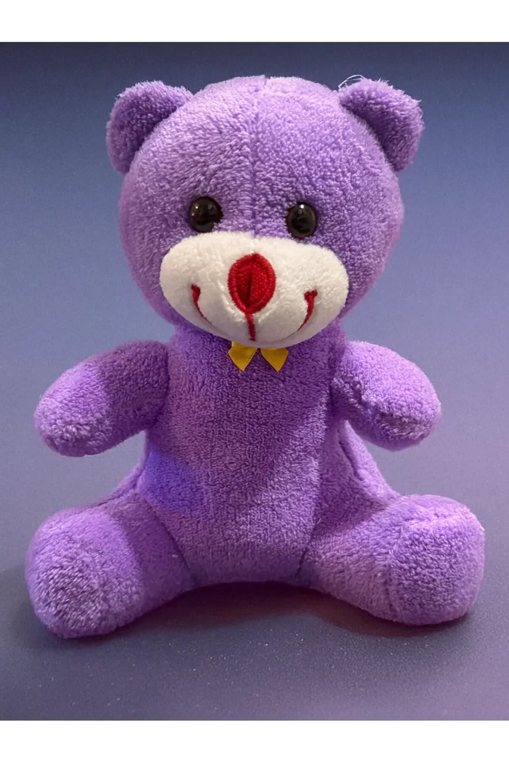 Kadina Hediye 25cm Mor Ayıcık ve İstiridye İçinde İnci Kolye Kırm