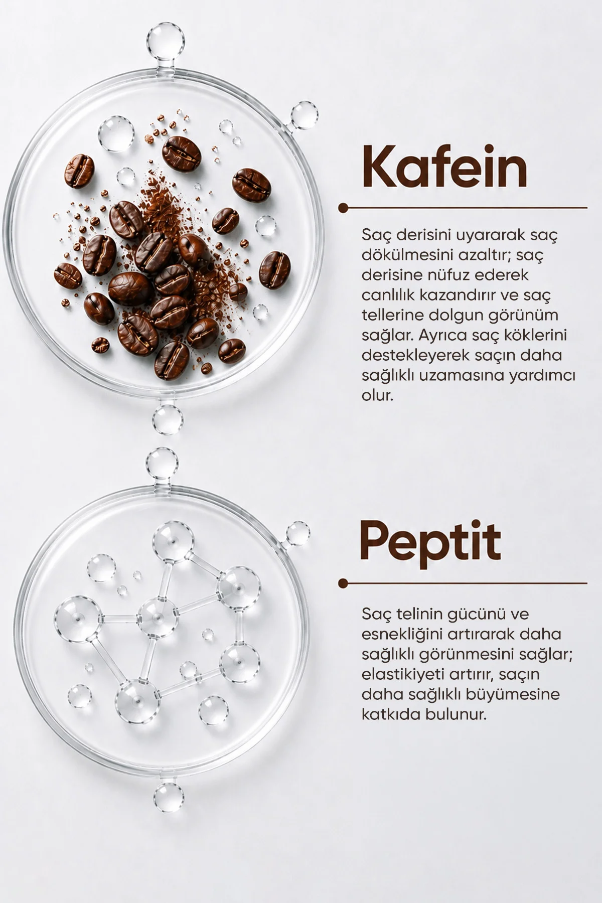 Kafein & Peptit Dökülme Karşıtı Bakım Şampuanı – Enerji & Dolgunluk, Tüm Saç Tipleri (300 ml) - Görsel 4