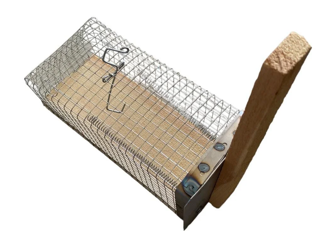 Kafes Tipi