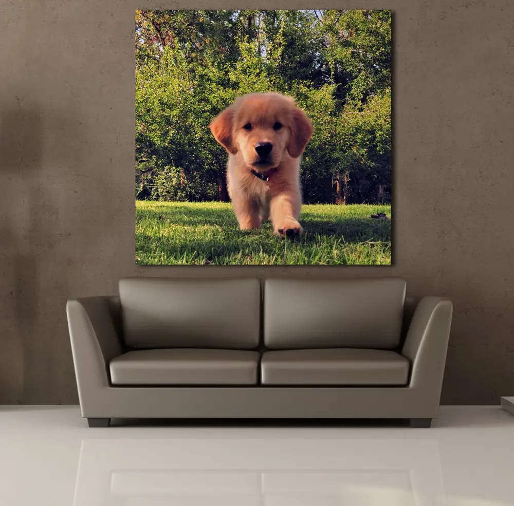 KAHVERENGİ YAVRU KÖPEK KANVAS TABLO
