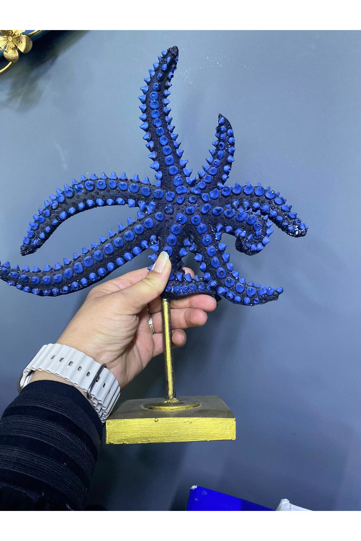 Elif Aksesuar Kaideli Dekoratif Deniz Yıldızı