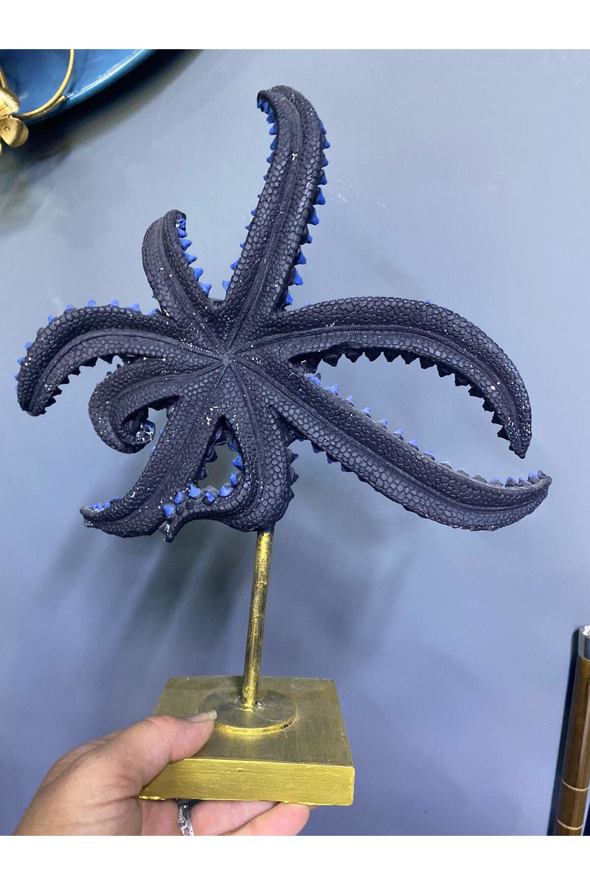 Elif Aksesuar Kaideli Dekoratif Deniz Yıldızı