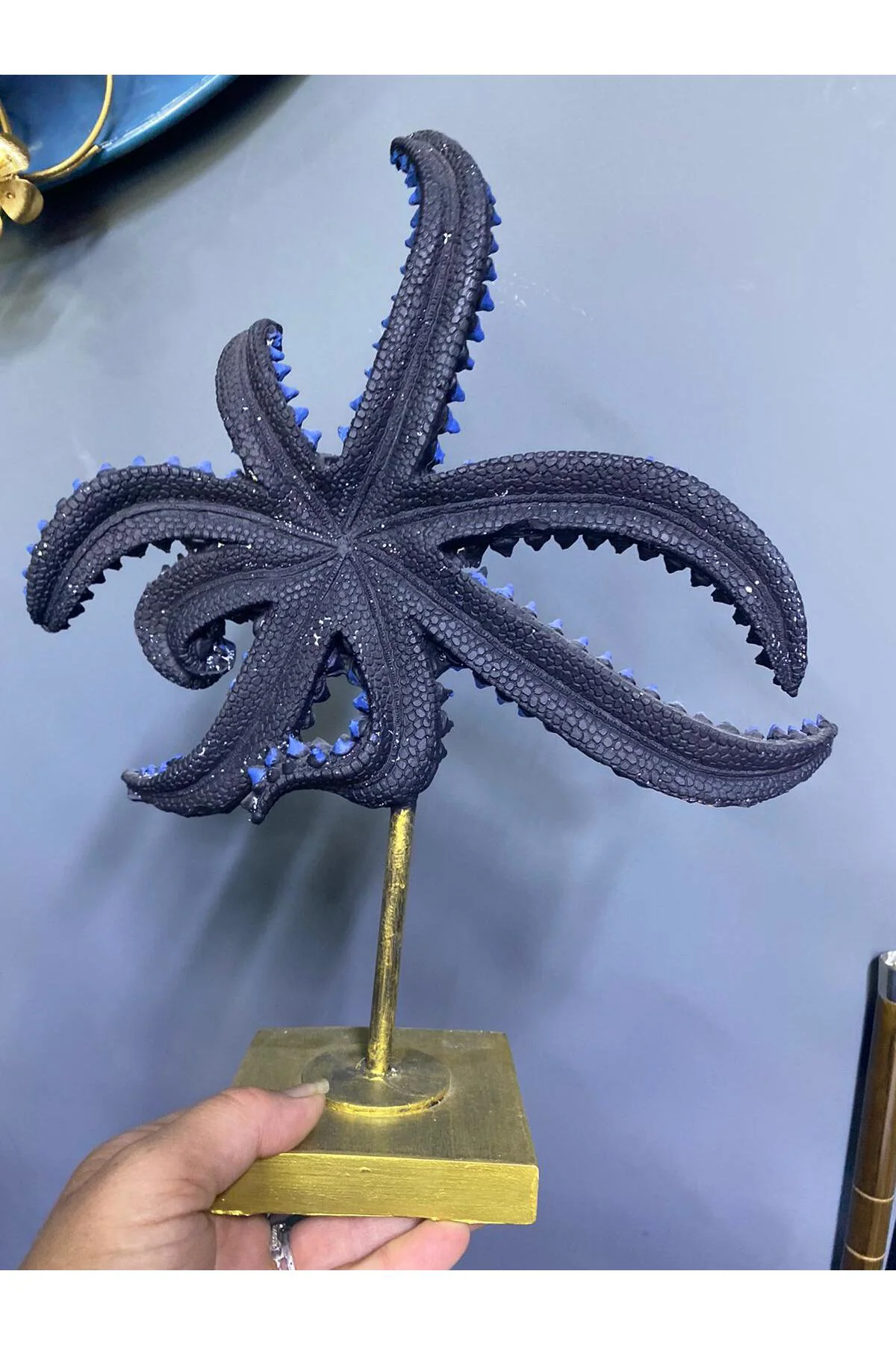 Kaideli Dekoratif Deniz Yıldızı