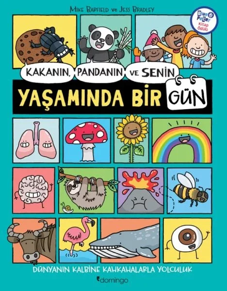 Kakanın, Pandanın ve Senin Yaşamında Bir Gün Fiyatı, Yorumları ve Özellikleri