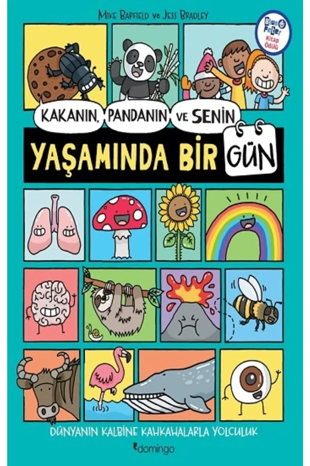 Kakanın, Pandanın Ve Senin Yaşamında Bir Gün
