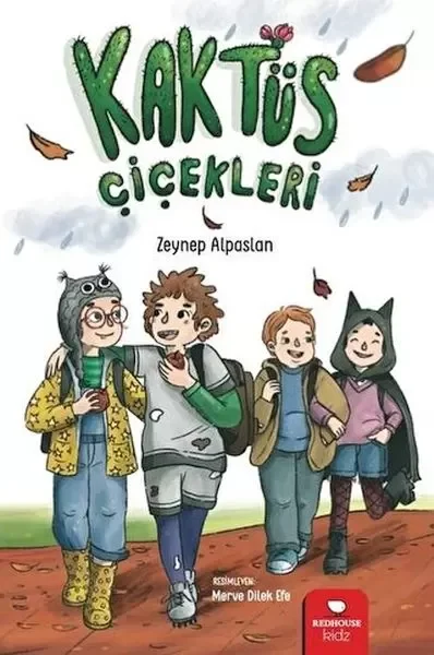 Kaktüs Çiçekleri Fiyatı, Yorumları ve Özellikleri