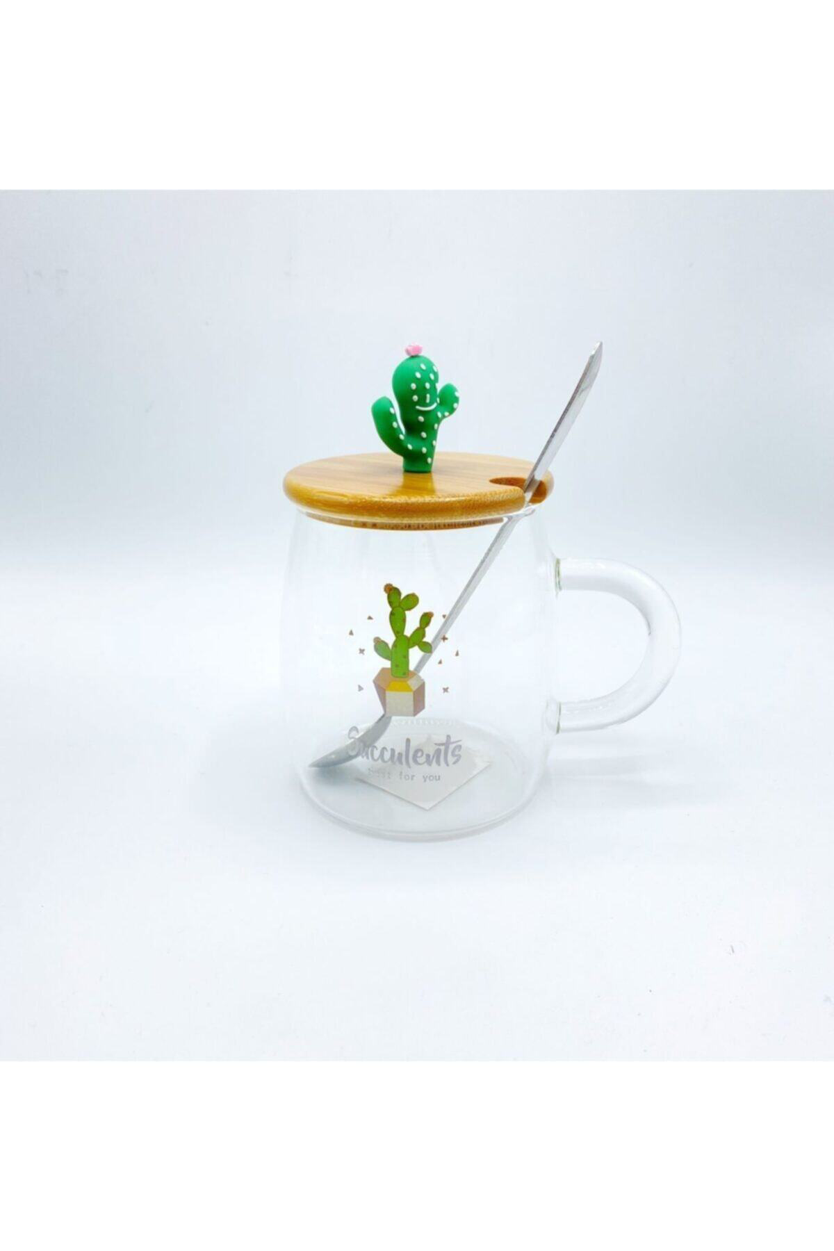 Elif Aksesuar Kaktüs Modelli Cam Kupa Bardak