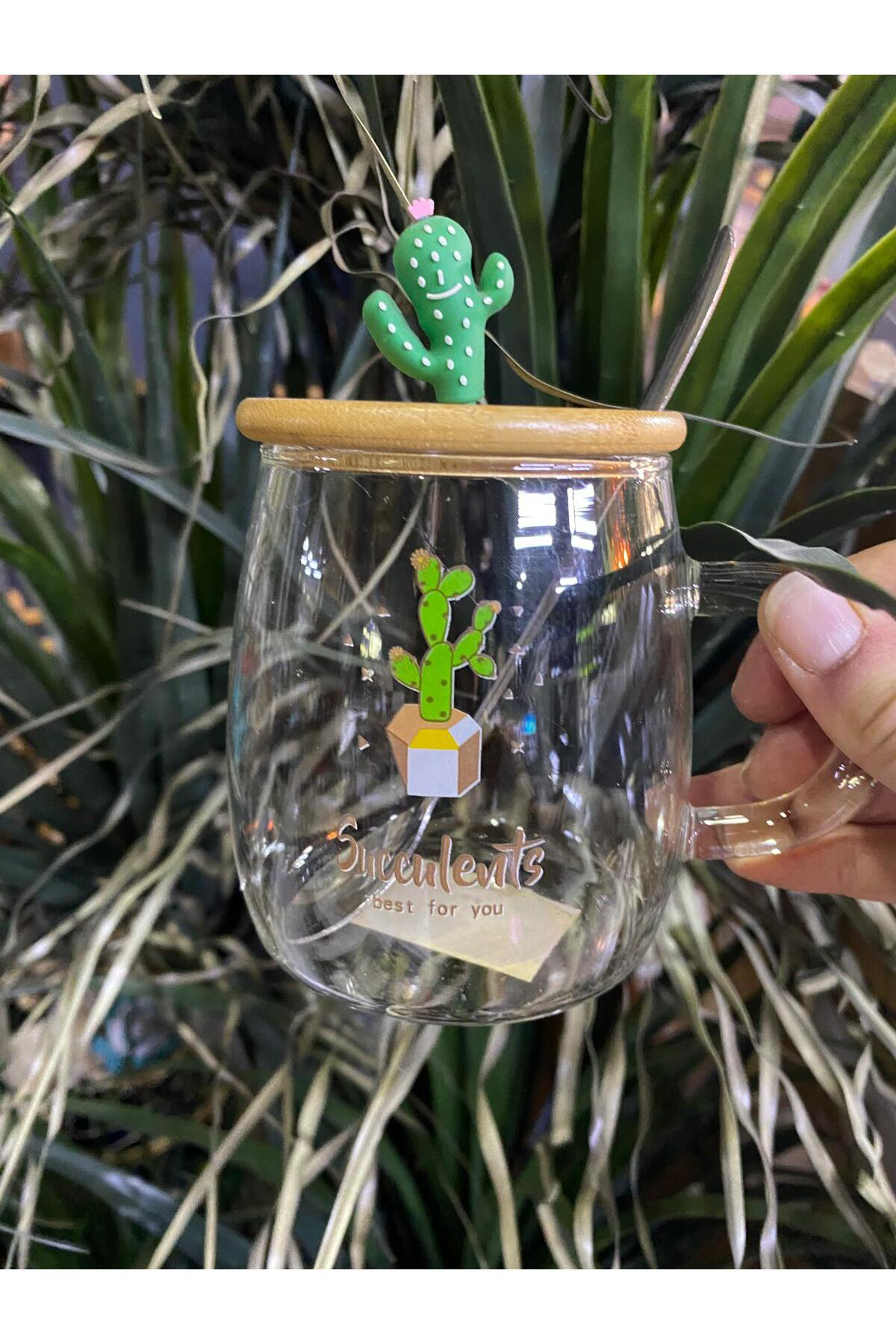 Elif Aksesuar Kaktüs Modelli Cam Kupa Bardak