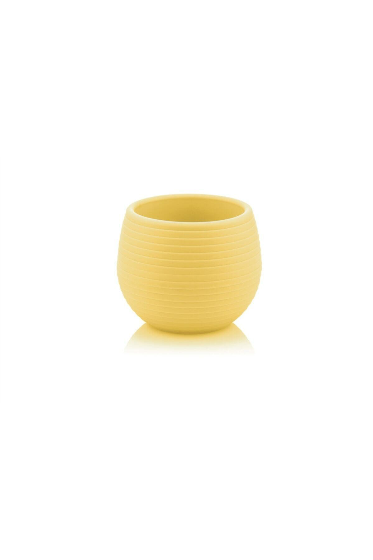 Kaktüs Saksı Elvan 3 No