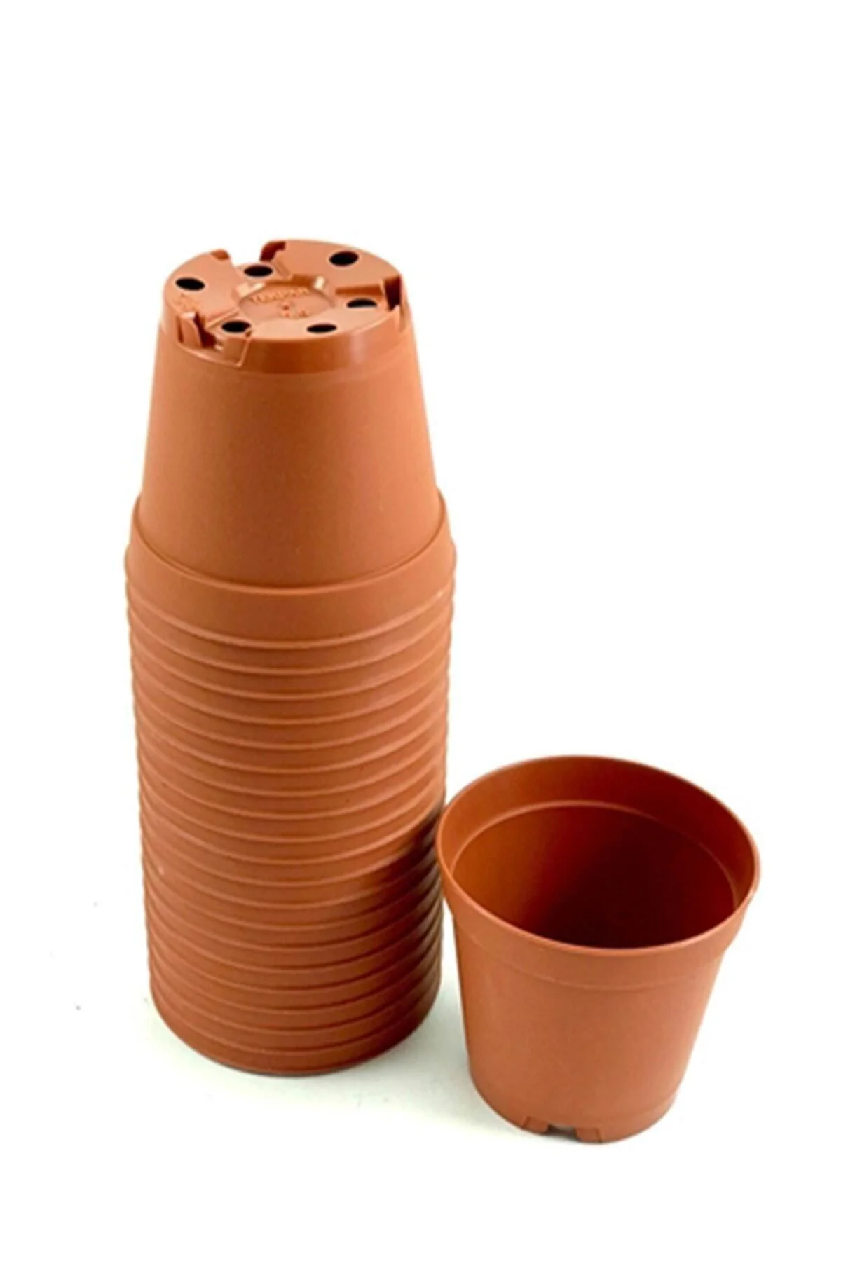 Kaktüs & Sukulent Üretim Saksı 5,5 Cm 20 Adet