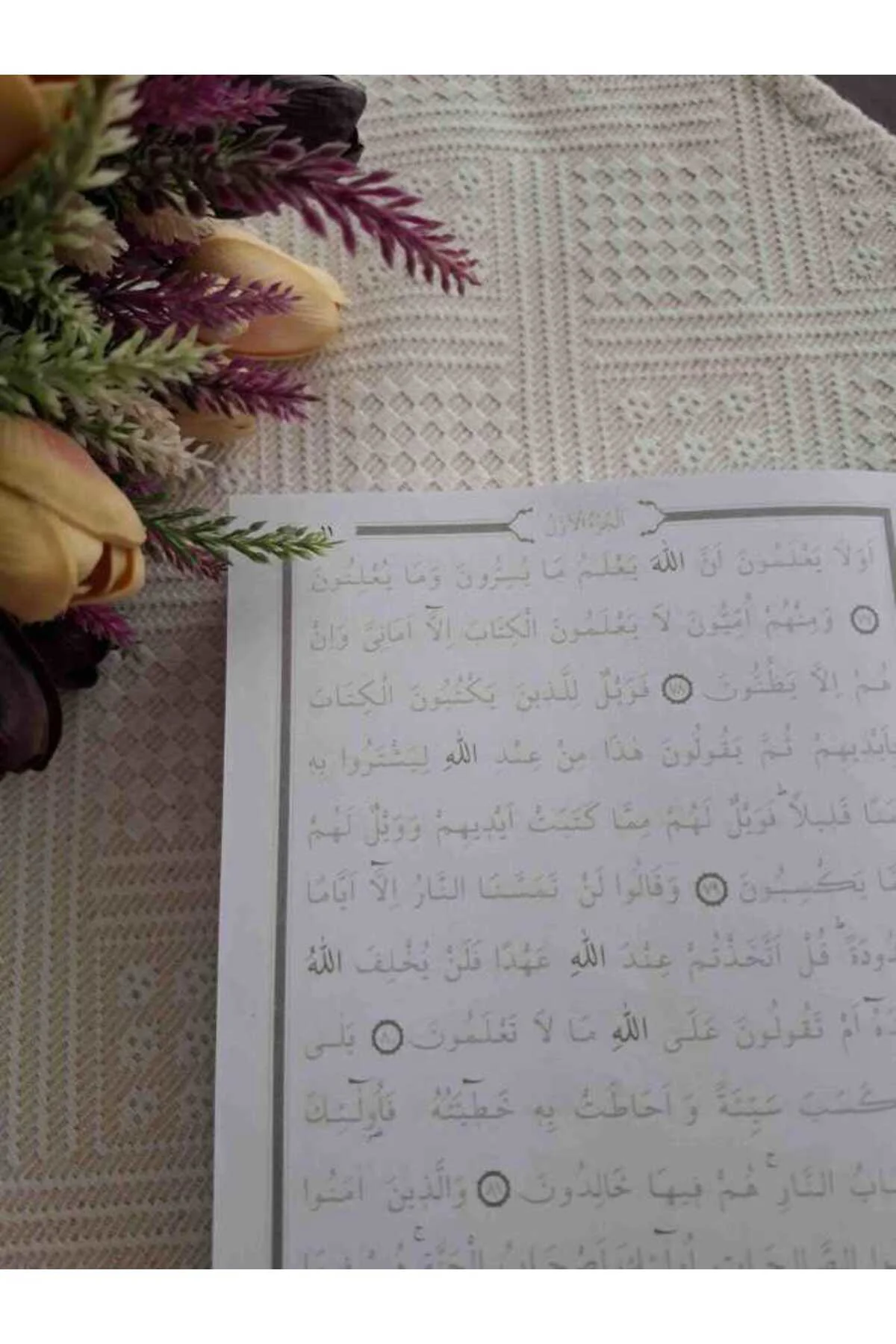 KALEM İLE YAZILABİLEN GÖLGELİ KURANI KERİM SADECE KURAN YAZI MUSH