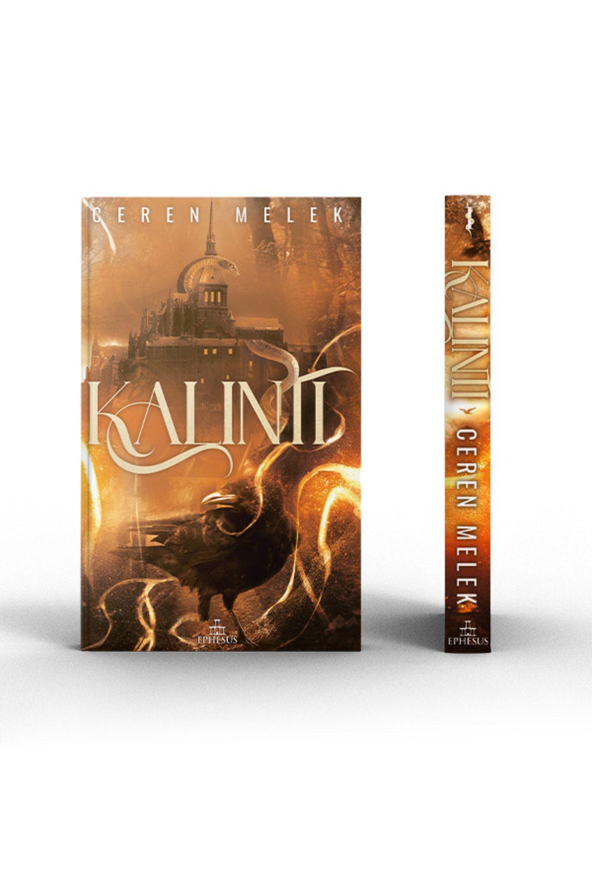 Ephesus Yayınları Kalıntı 1 Ciltli