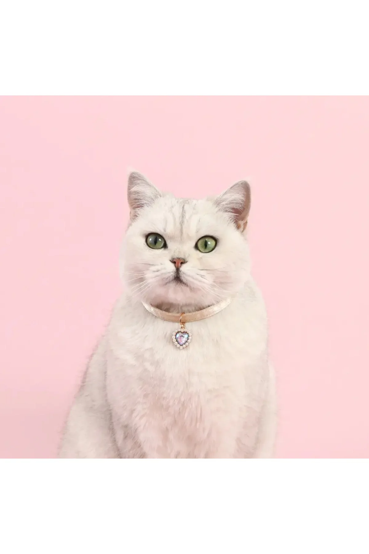 Kalp aksesuarlı kedi tasması