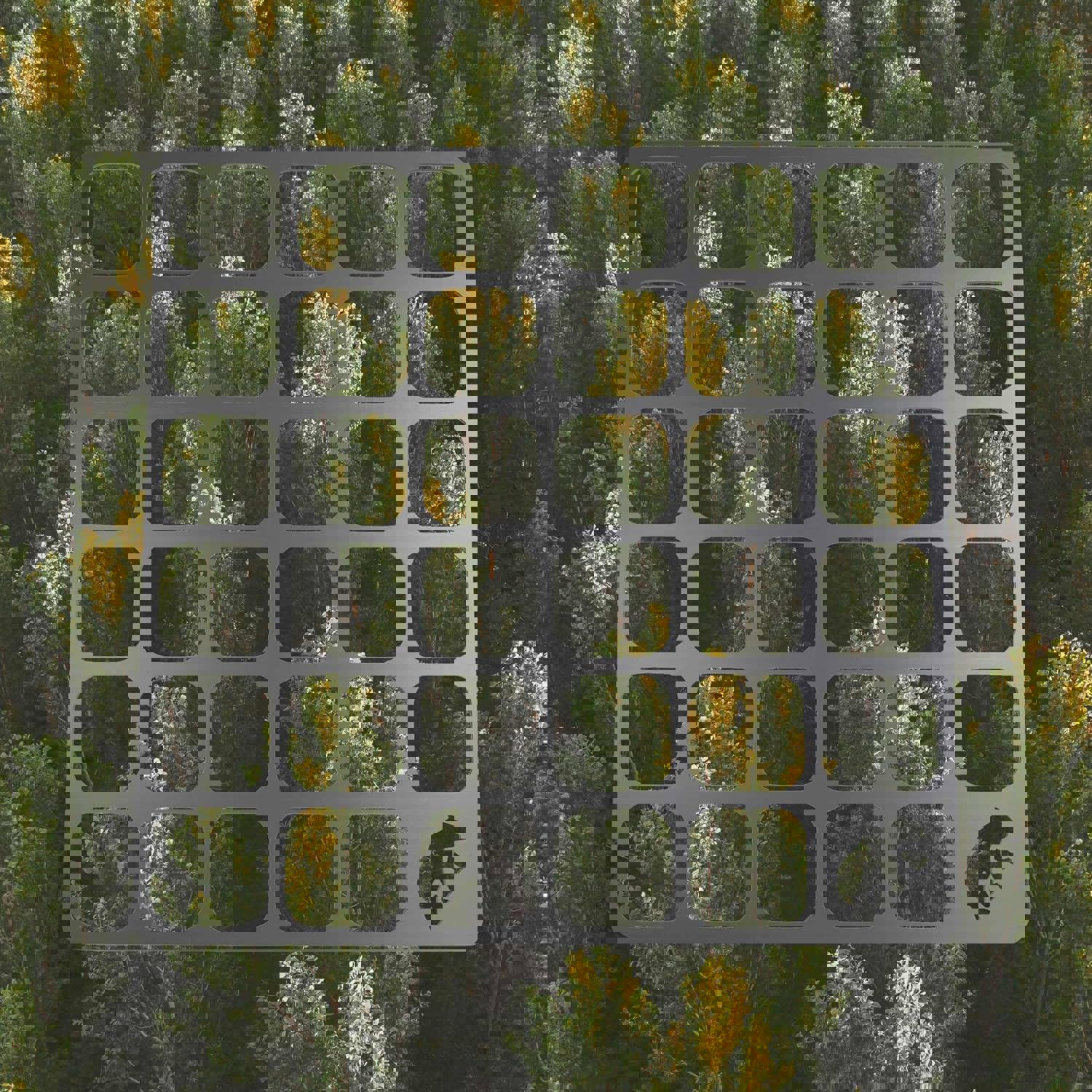 Kamp Ayısı ® Openairwire™ Taşıma Çantalı Paslanmaz Çelik 13 Cm X 1