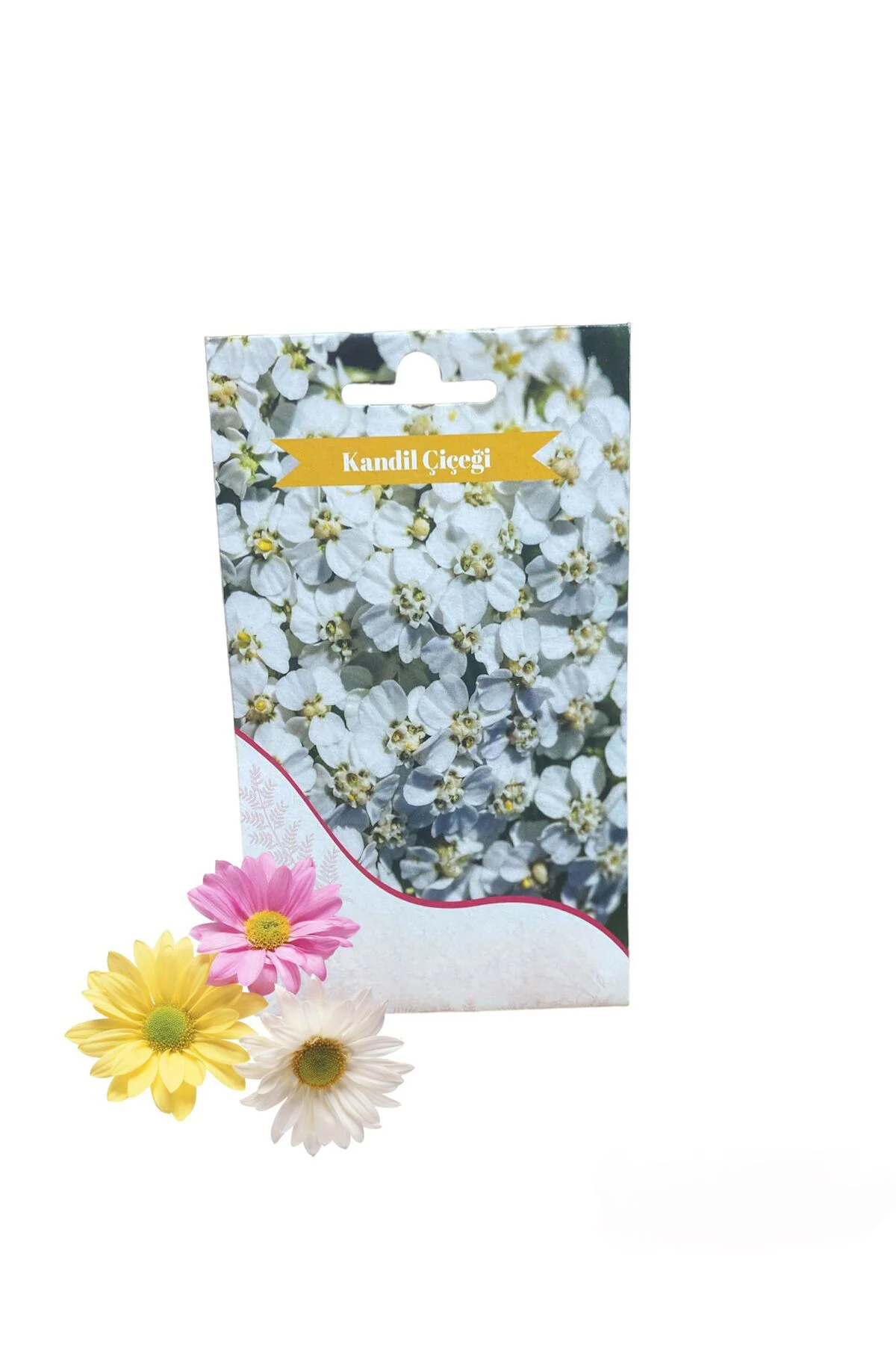 Kandil Çiçeği Tohumu 5gr