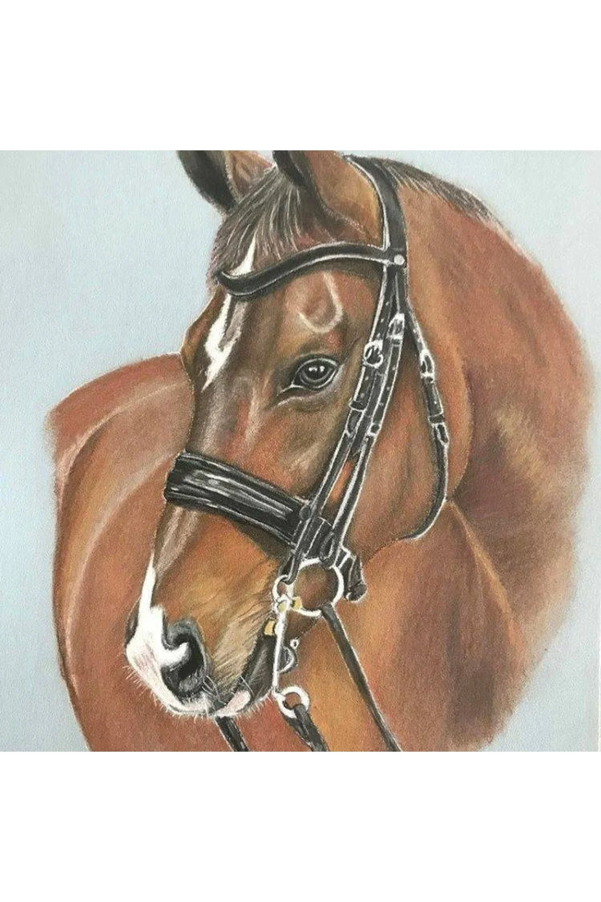 Kanvas Düslerdeki At Sayılarla Boyama Seti Kasnaklı 50x65 Cm