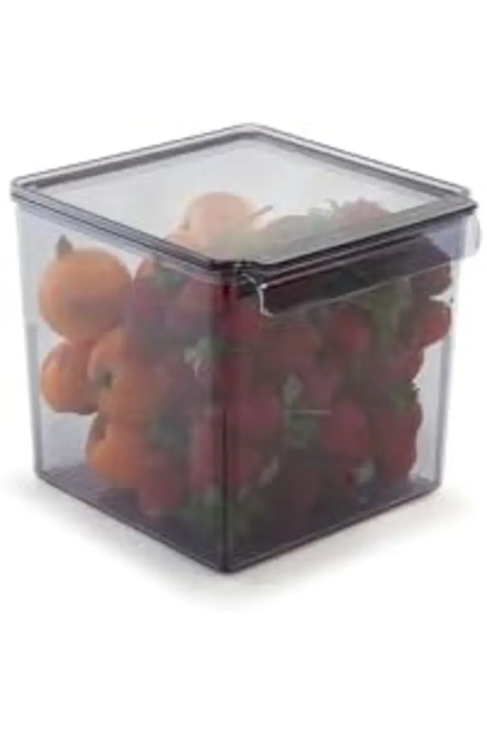 Kapaklı Banyo Mutfak Düzenleyici Şeffaf Siyah 165 * 178 * 160 Mm