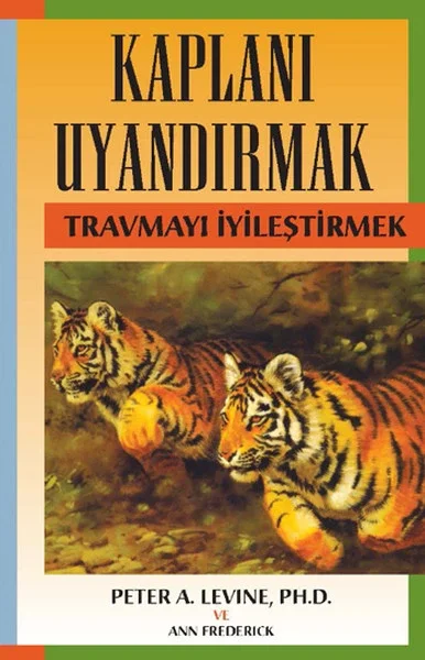 Kaplanı Uyandırmak - Travmayı İyileştirmek Fiyatı, Yorumları ve Özellikleri