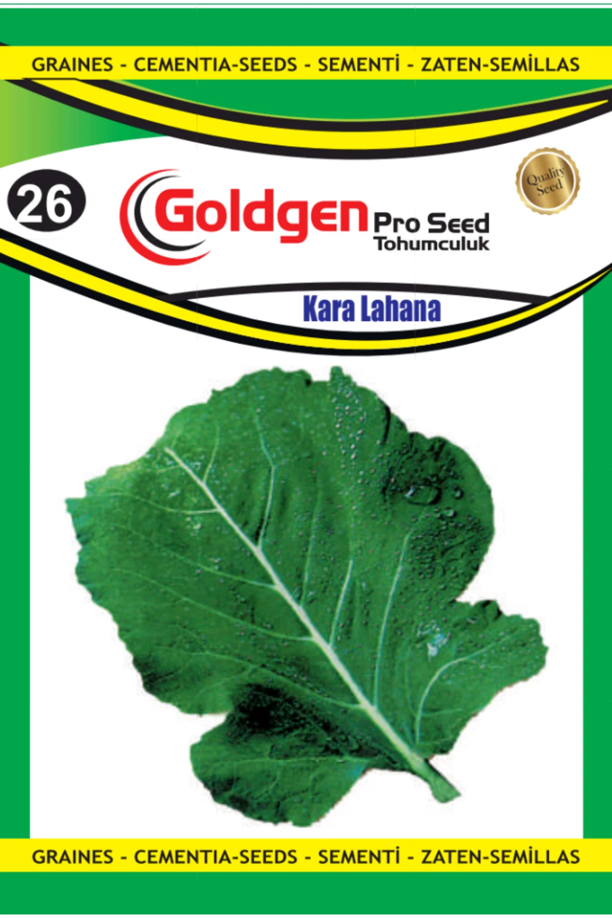 Karadeniz Lahanası