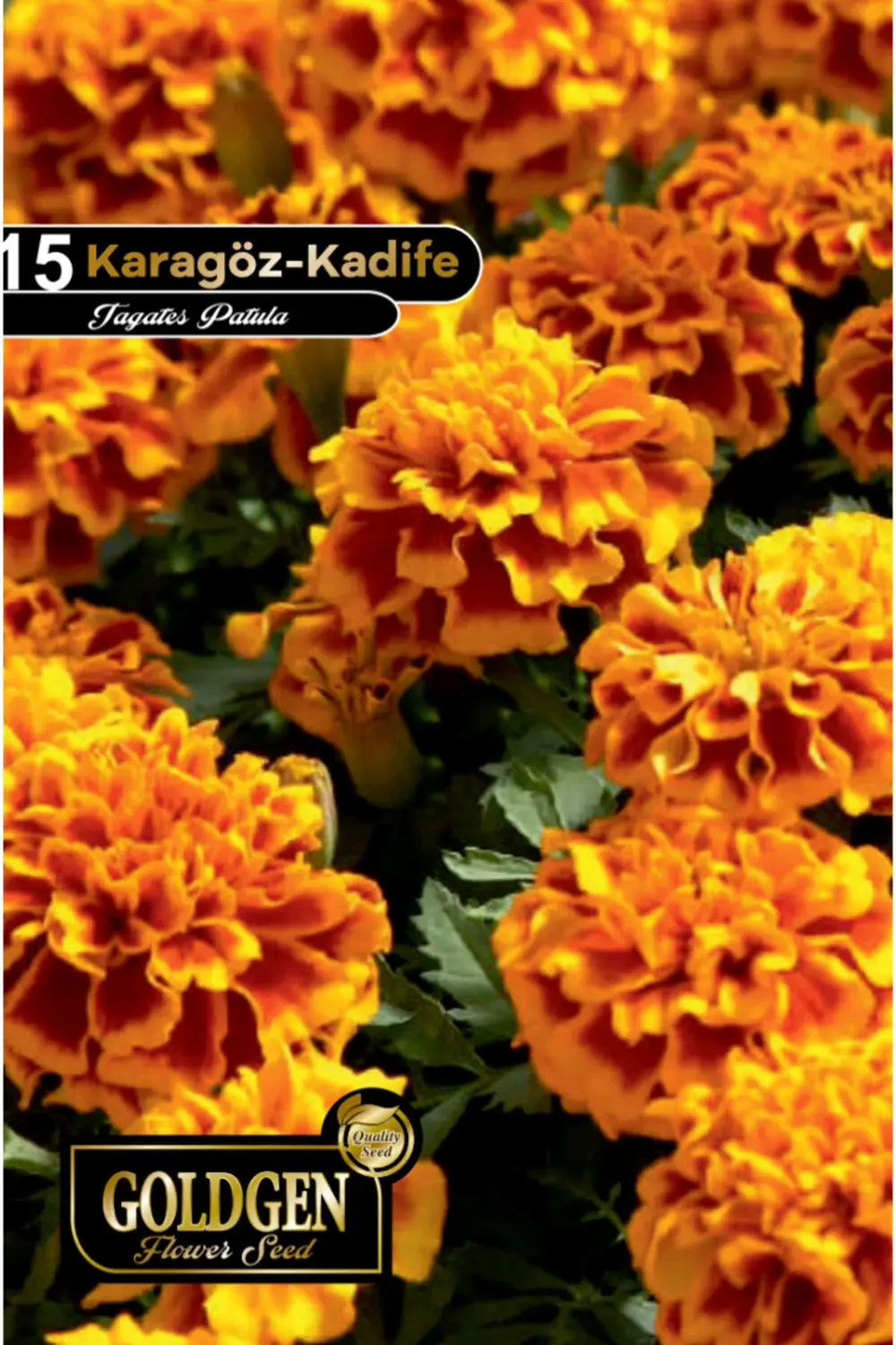 Karagöz (Kadife) Çiçeği Tohumu