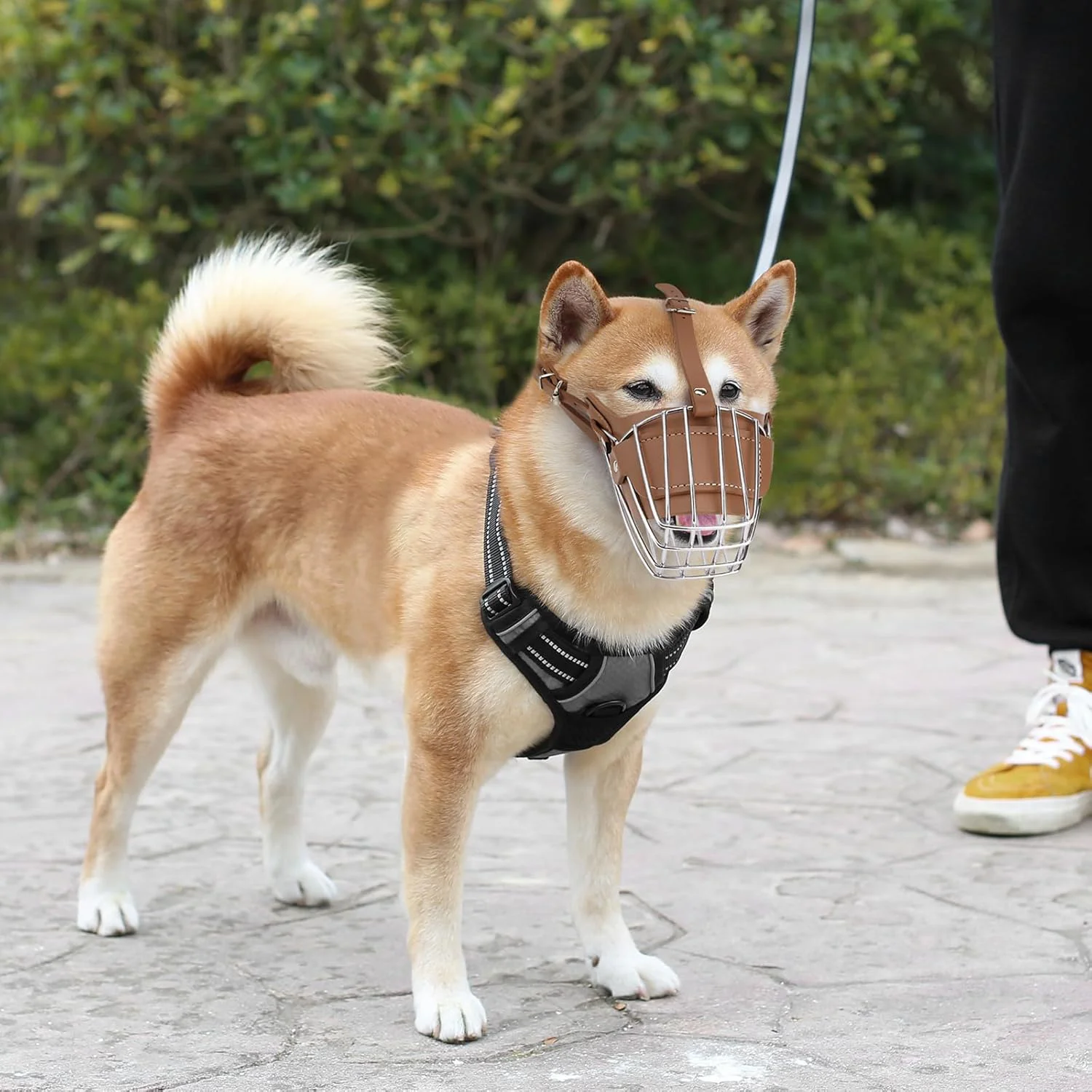 Karamel Pet Metal Deri Köpek Ağızlığı S 30 cm