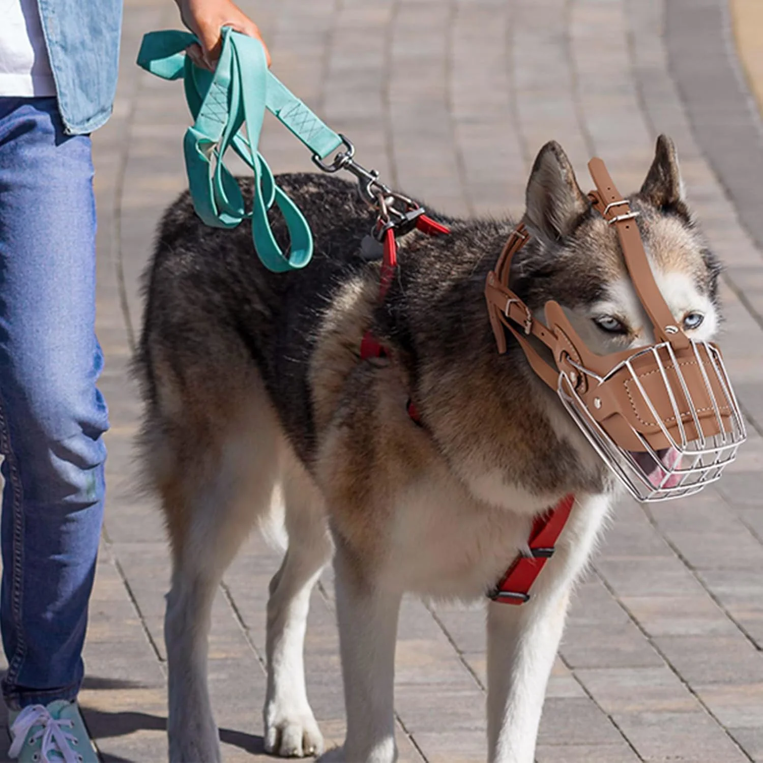 Karamel Pet Metal Deri Köpek Ağızlığı XL 38 cm