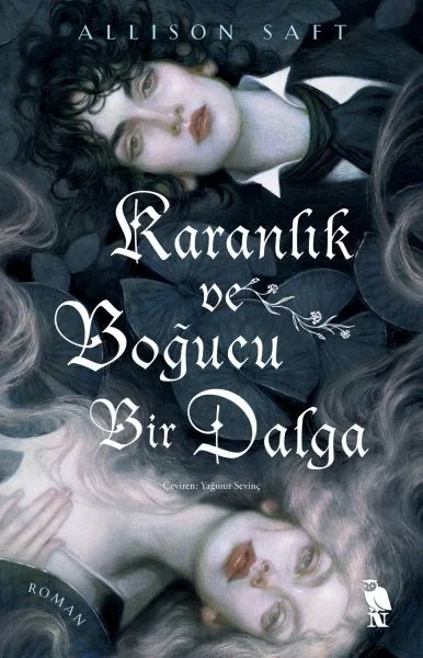 Karanlık ve Boğucu Bir Dalga Fiyatı, Yorumları ve Özellikleri