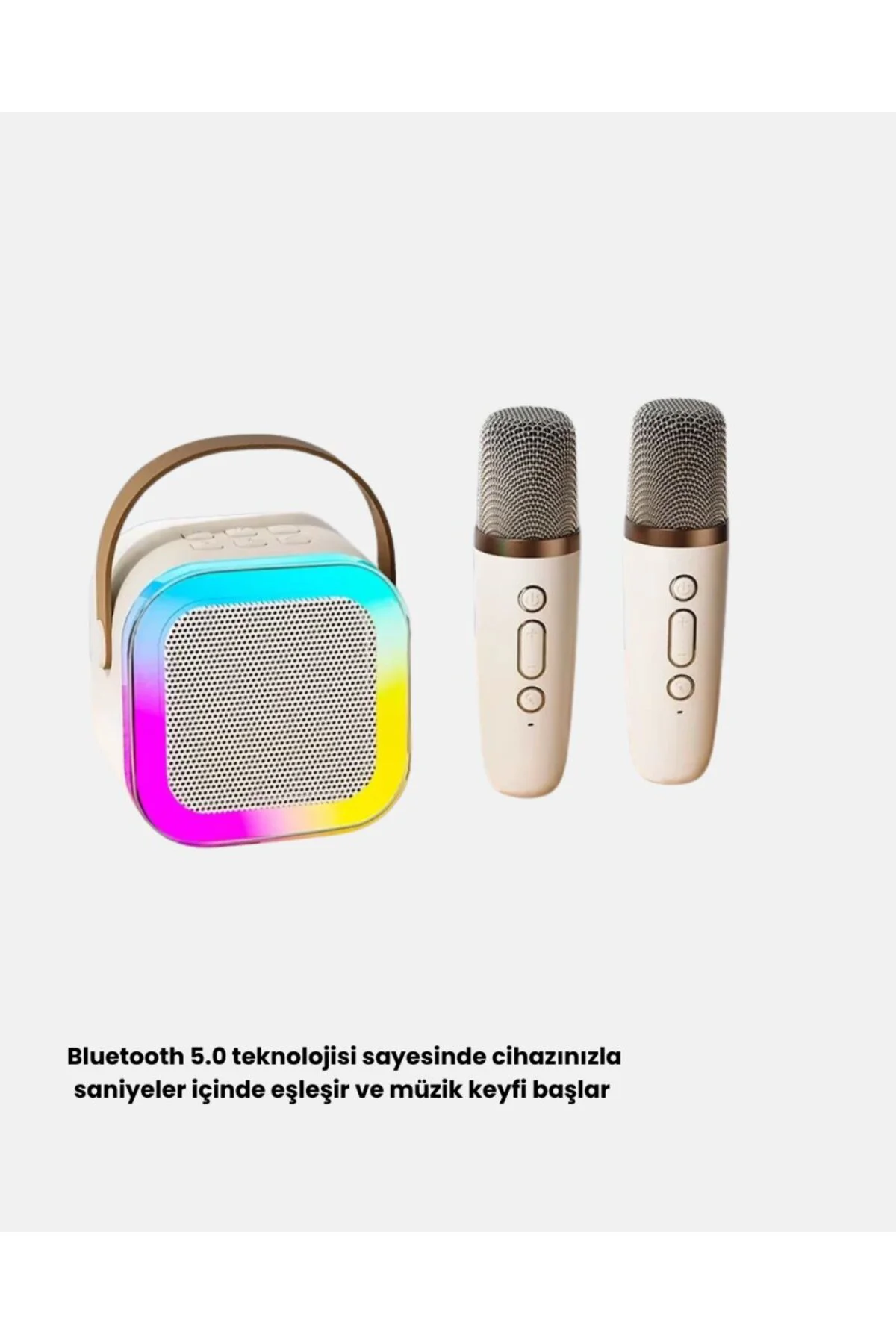 Karaoke Hoparlör Taşınabilir Çift Mikrofonlu ve LED Işıklı Bluetooth 5.0