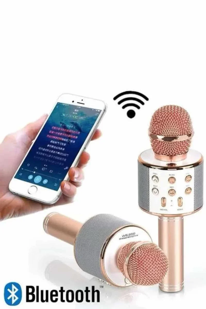 Karaoke Mikrofon Dahili Hoparlör Bluetooth USB AUX SD Kart Girişli