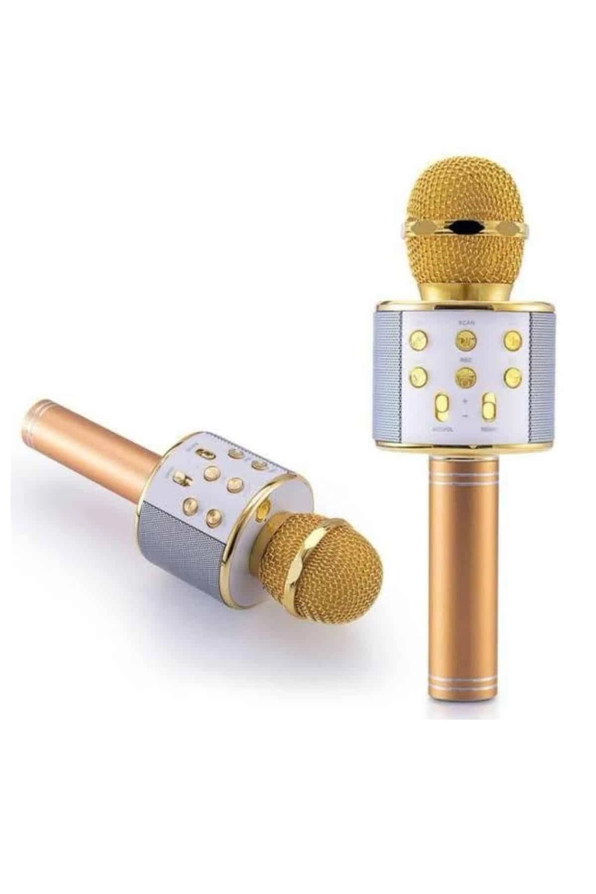 Karaoke Mikrofon Dahili Hoparlörlü Sd-Usb-Aux Girişli Bluetooth H