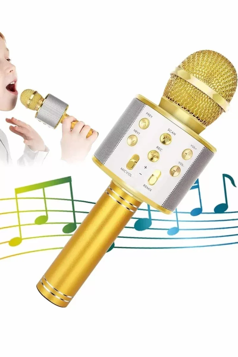 Karaoke Mikrofon Dahili Hoparlör Bluetooth USB AUX SD Kart Girişli