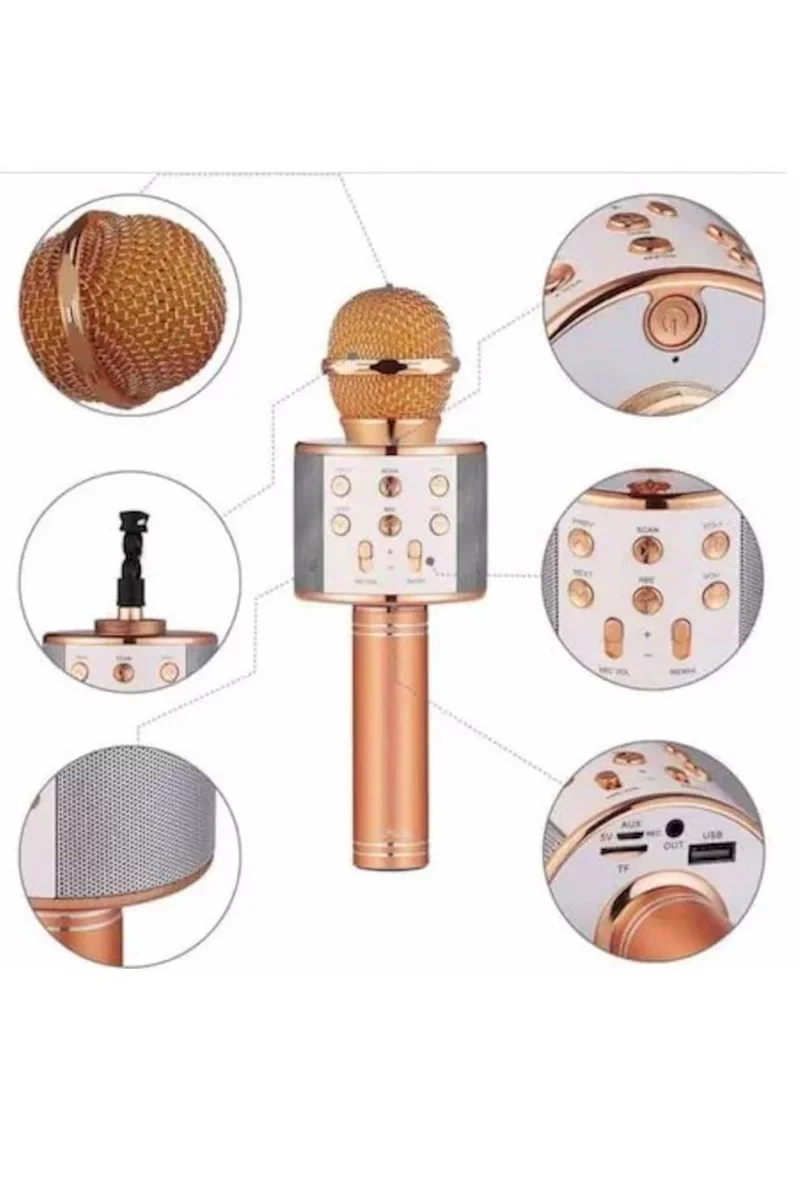 Karaoke Mikrofon Dahili Hoparlör Bluetooth USB AUX SD Kart Girişli