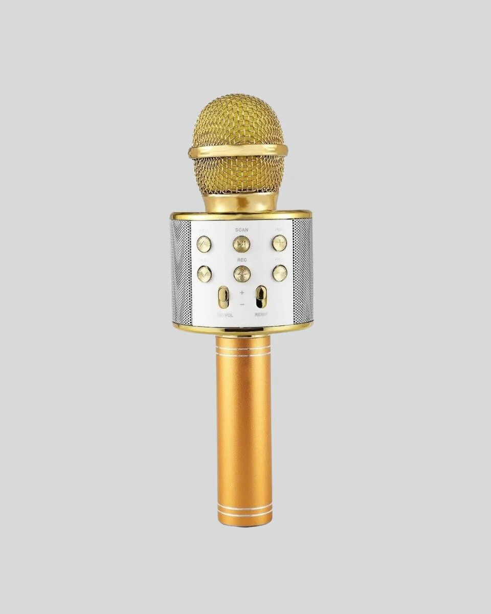 Karaoke Mikrofonu Bluetooth USB AUX Girişli Yankı Efektli