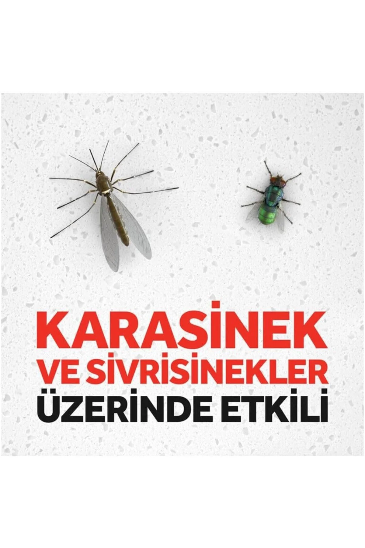 Karasinek ve Sivrisineklere Karşı Sinek Öldürücü (1 x 300 ml)