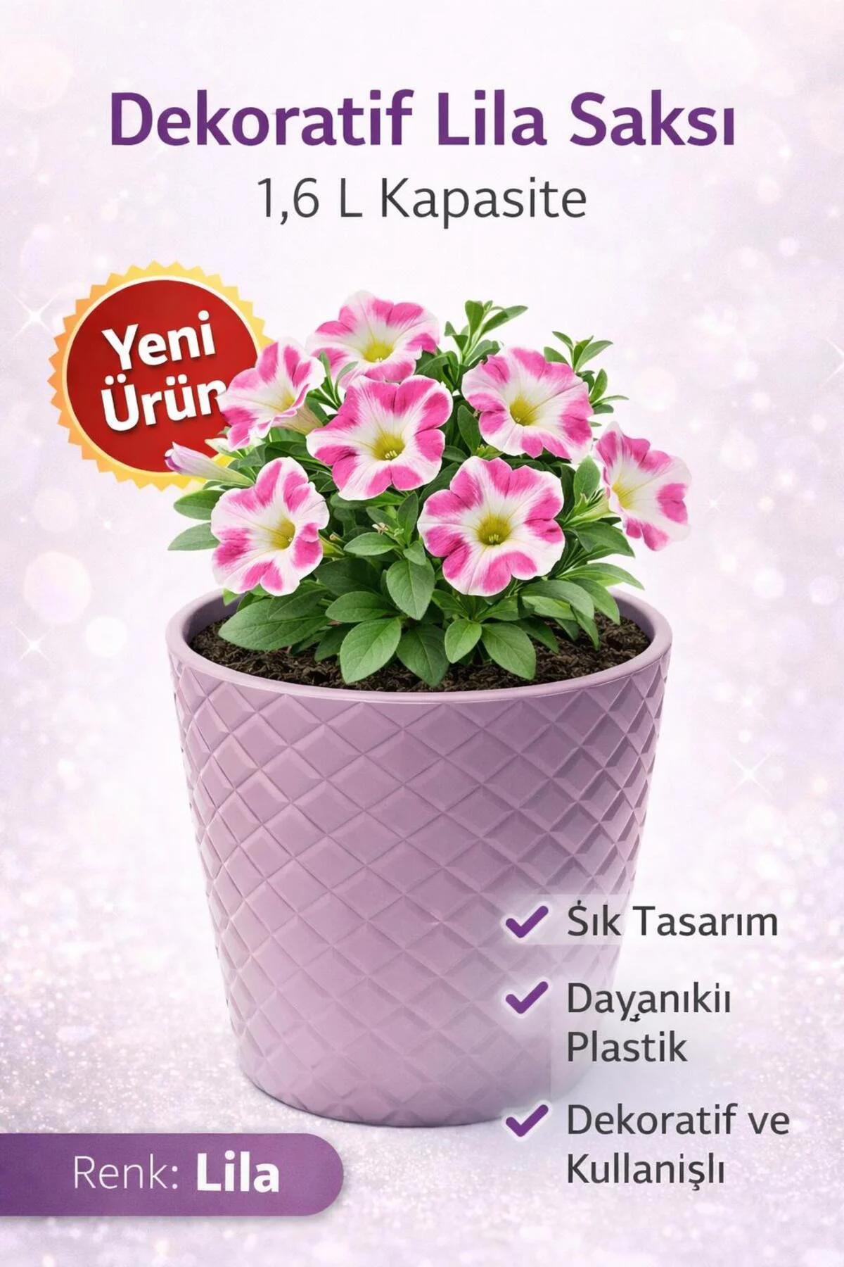Karasu Kesme Saksı Lila
