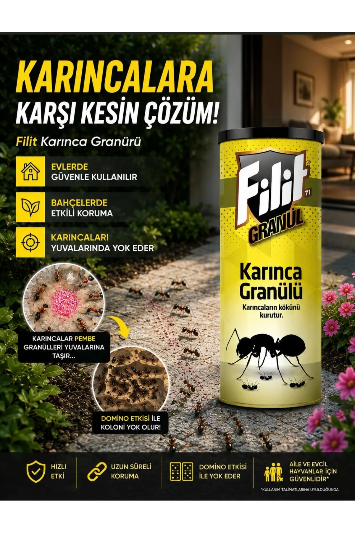 KARINCA GRANÜRÜ (100gr)
