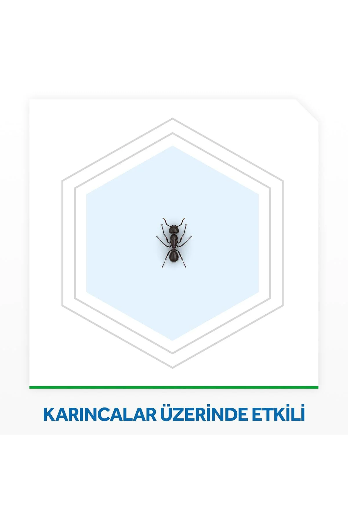 Karınca Yemi 4'lü, 2.si Promo Paket, Her Tablet Ile 3 Ay Koruma Fiyatı, Yorumları ve Özellikleri