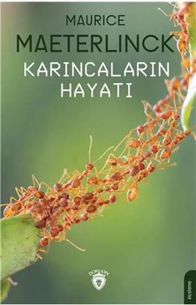 Karıncaların Hayatı Fiyatı, Yorumları ve Özellikleri