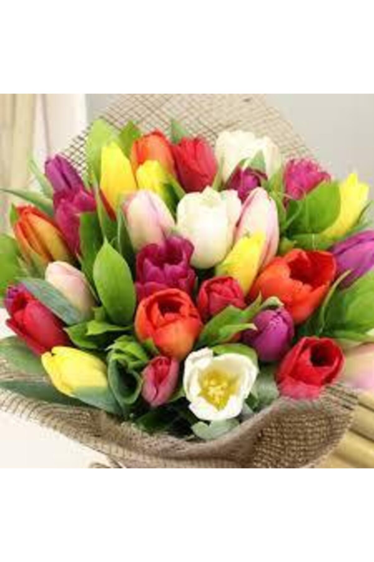 Safir Karışık Lale 10 Adet