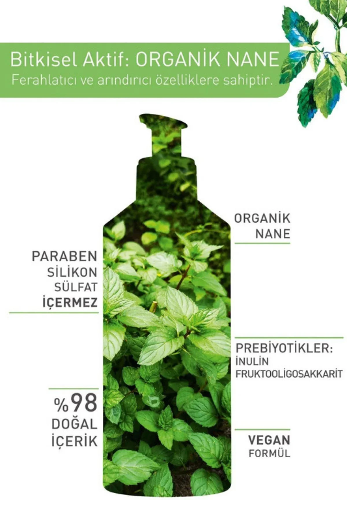 Karma Ve Yağlı Ciltler Için Pure Menthe Prebiyotik Yüz Yıkama Jel