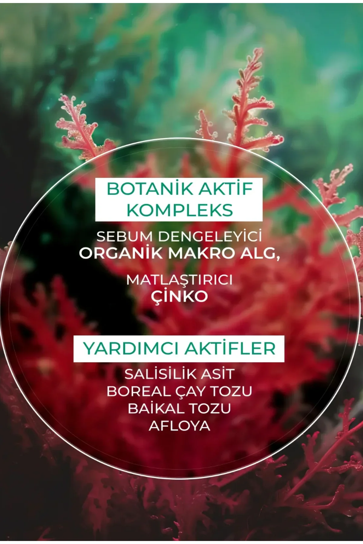 Karma Ve Yağlı Ciltler Için Sebo Vegetal Jel Krem - Çinko & Salisilik Asit-50 ml