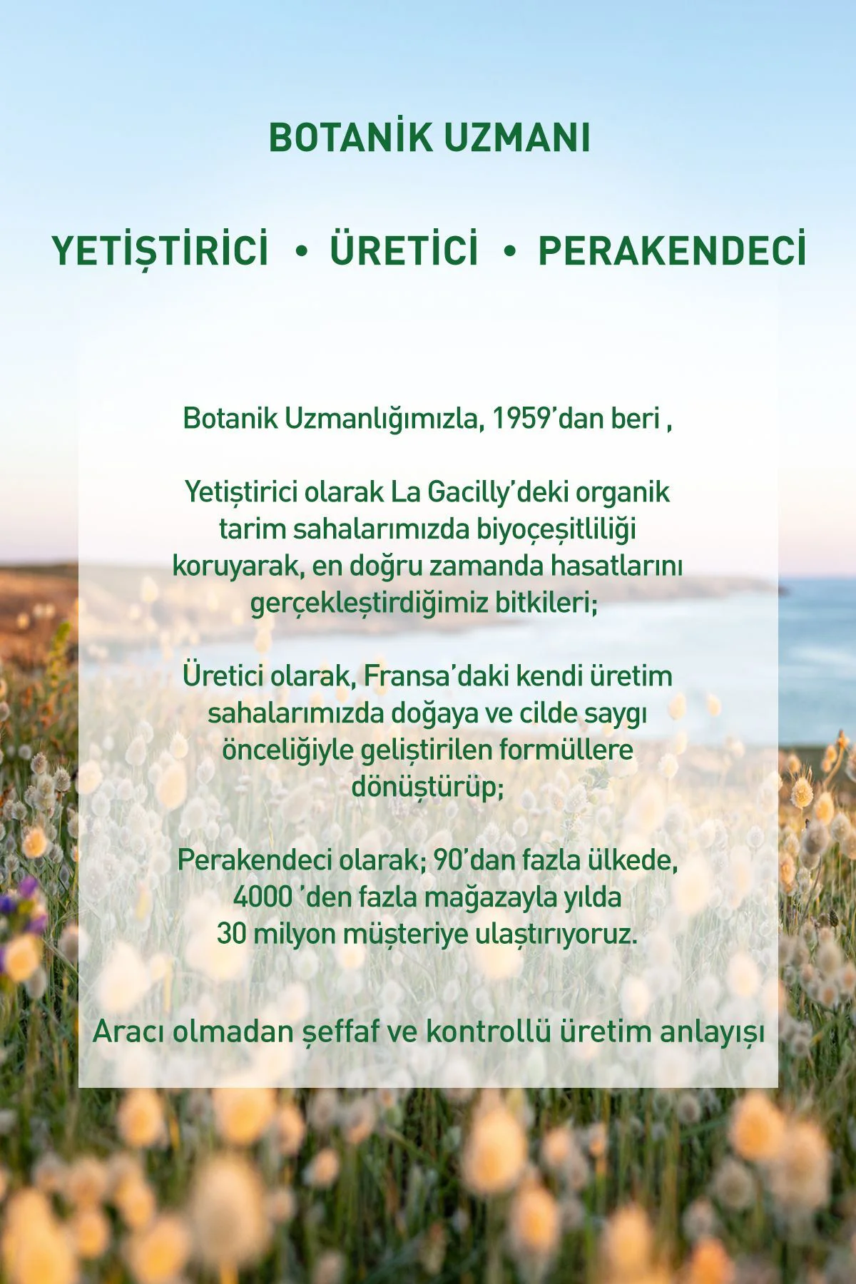 Karma-Yağlı-Sivilce Eğilimli Cilt, Siyah Nokta Karşıtı Pudralı To