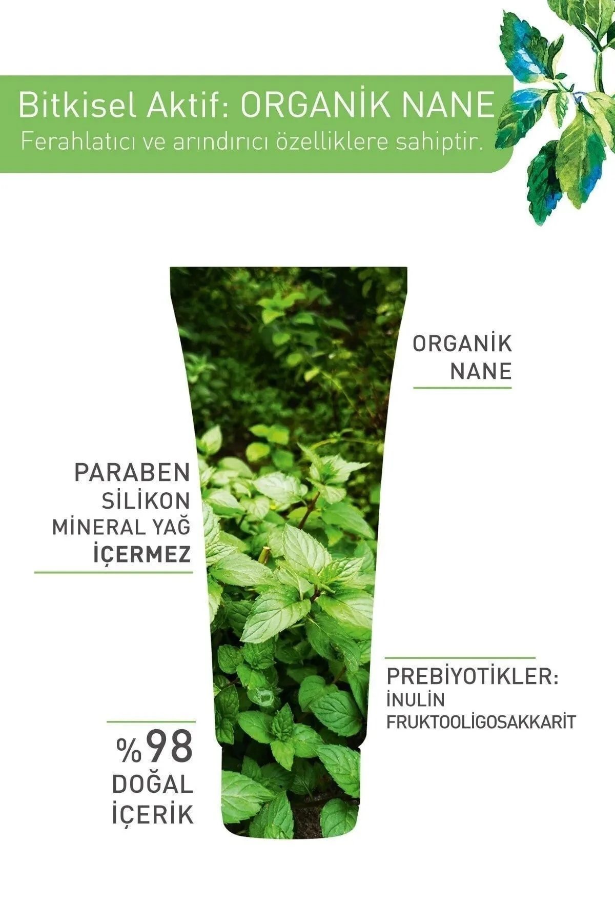 Karma, Yağlı ve Akneye Eğilimli Ciltler İçin Pure Menthe Kömür Ma