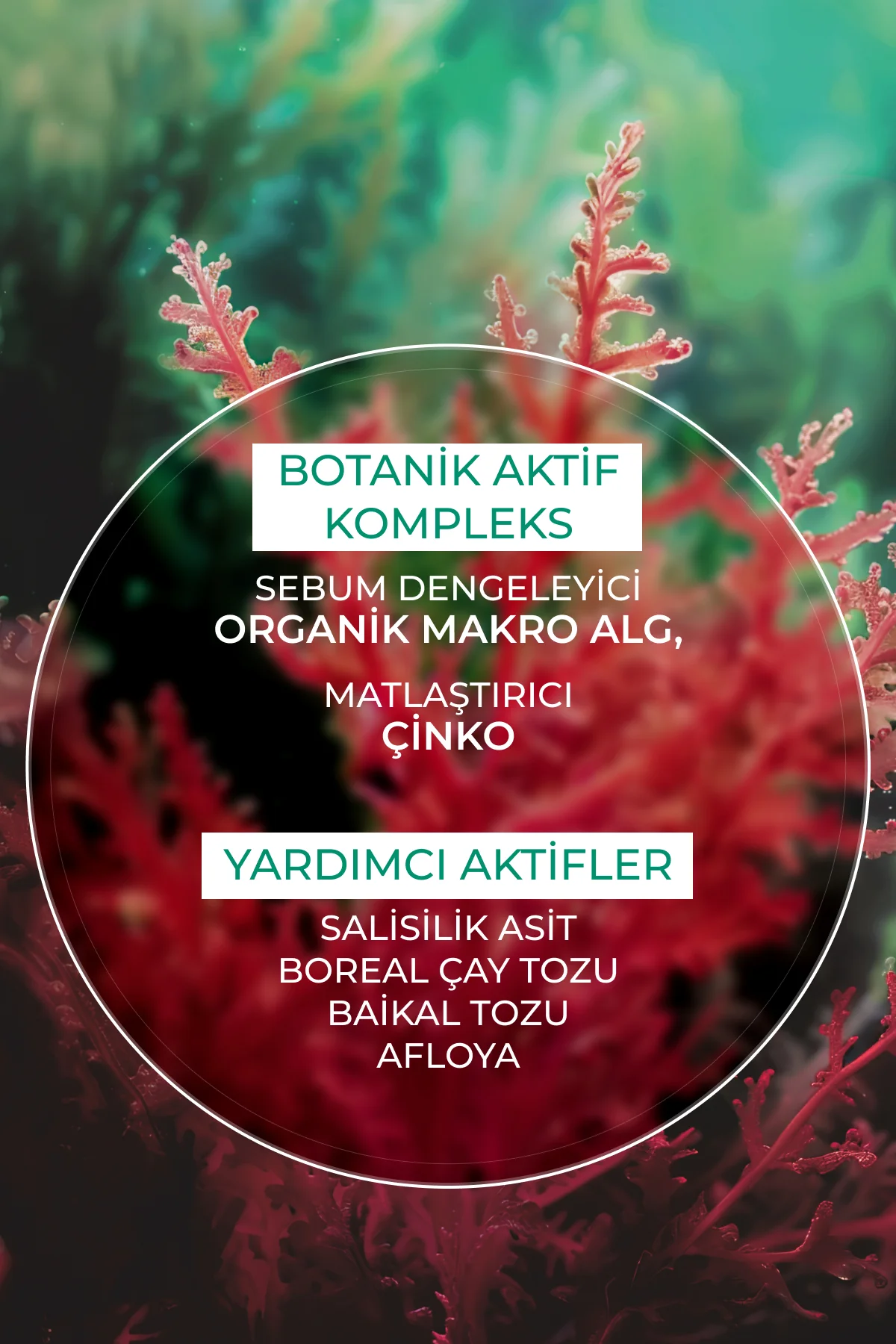 Karma/Yağlı Cilt Nemlendirici Krem-Çinko&Salisilik Asit-Sebo Acti