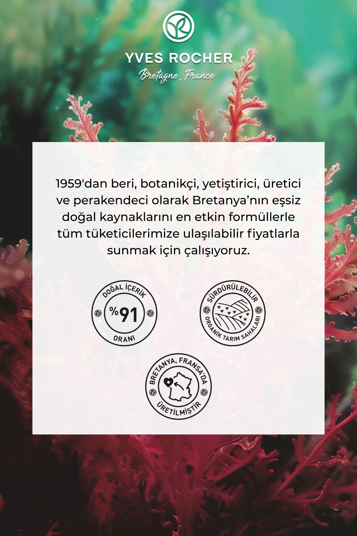 Karma/Yağlı Cilt Nemlendirici Krem-Çinko&Salisilik Asit-Sebo Acti